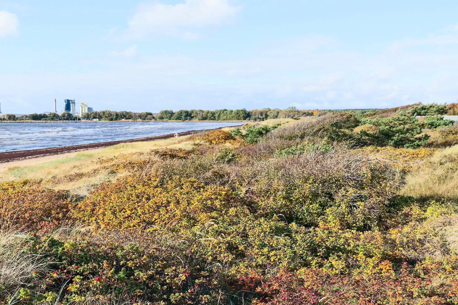 4 etoiles maison de vacances a HALMSTAD - Non tagué