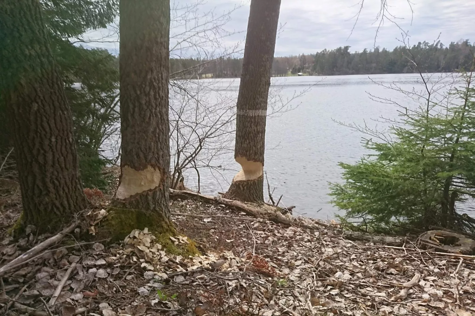 4 Sterne Ferienhaus in MARIEFRED