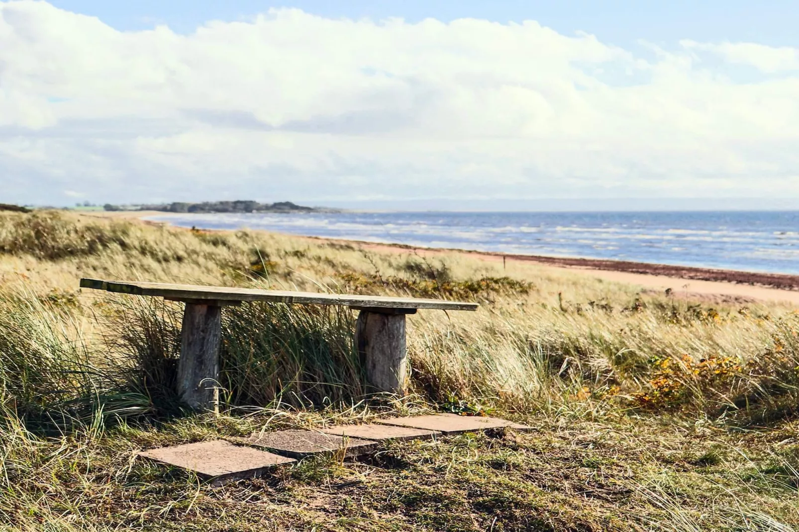 4 etoiles maison de vacances a HALMSTAD - Non tagué