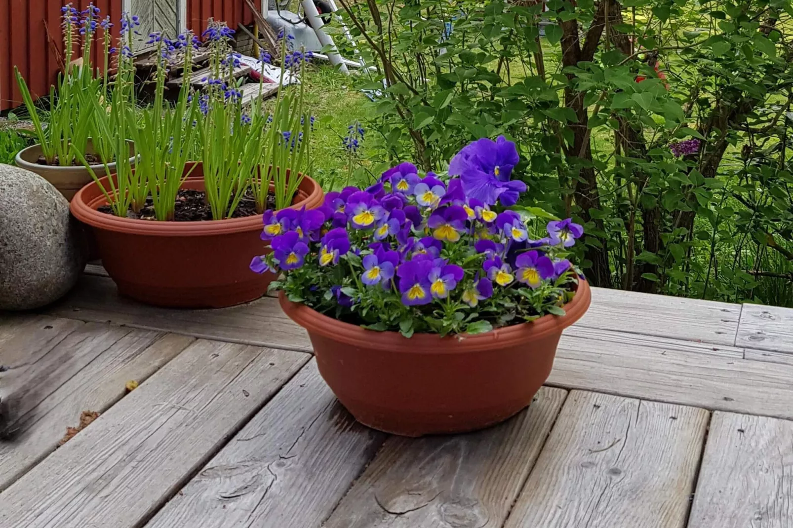 4 Sterne Ferienhaus in MARIEFRED - Im Freien