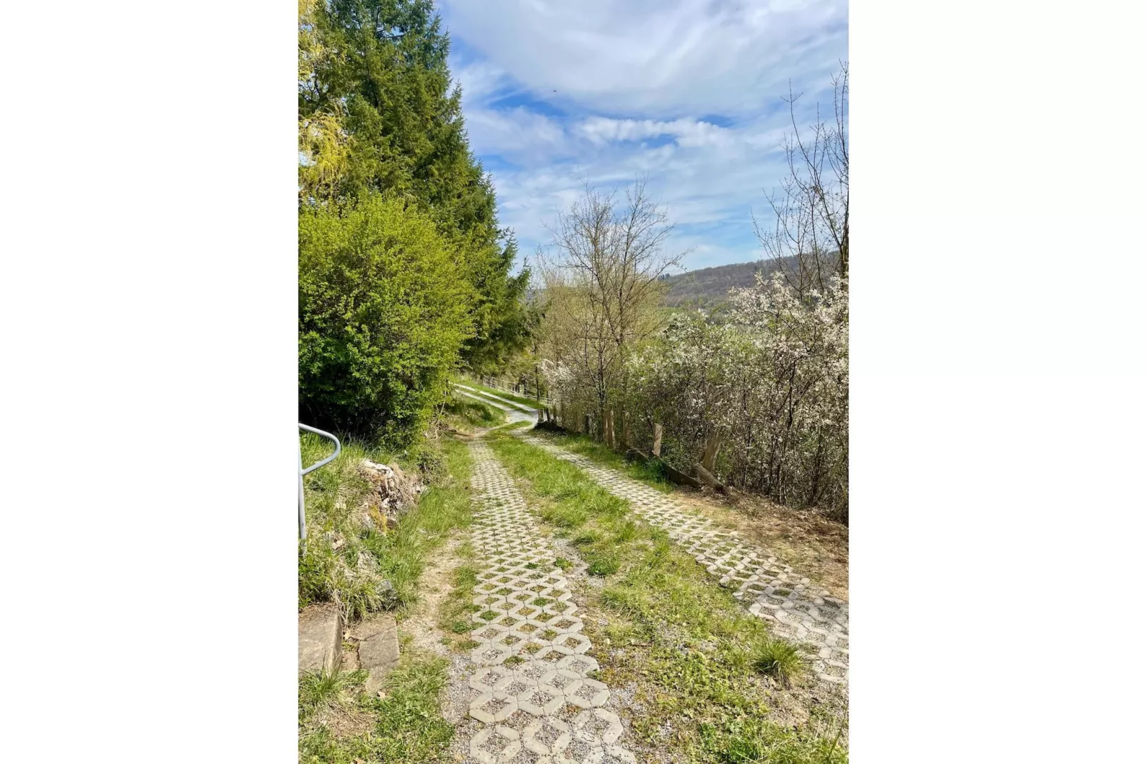 AutarkHome Natur Kompfort Rautenberg - Aussicht Sommer