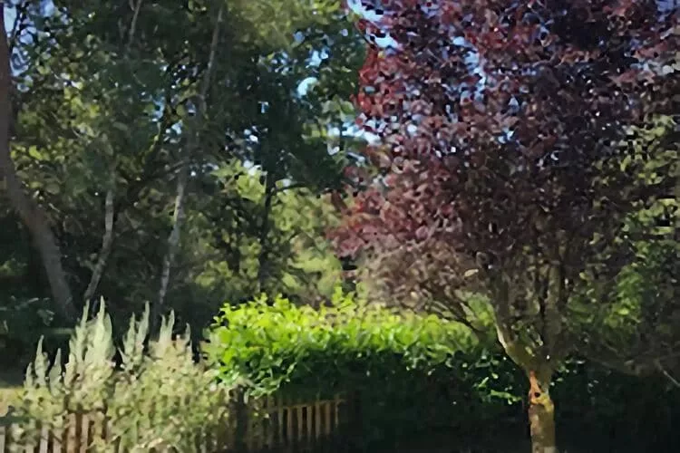 Fraise Du Bois-Gardens summer