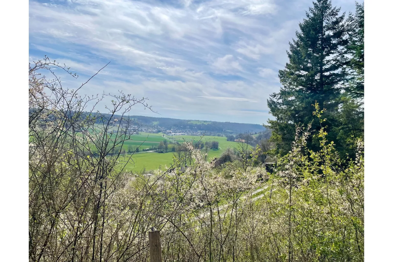 AutarkHome Natur Kompfort Rautenberg - Aussicht Sommer