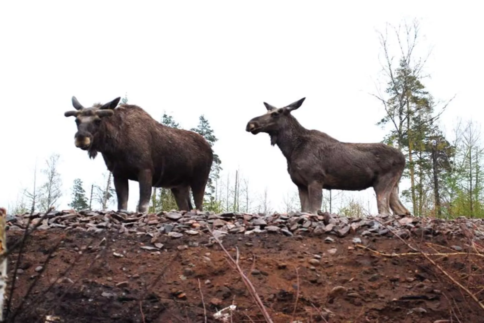 4 etoiles maison de vacances a NISSAFORS - Non tagué