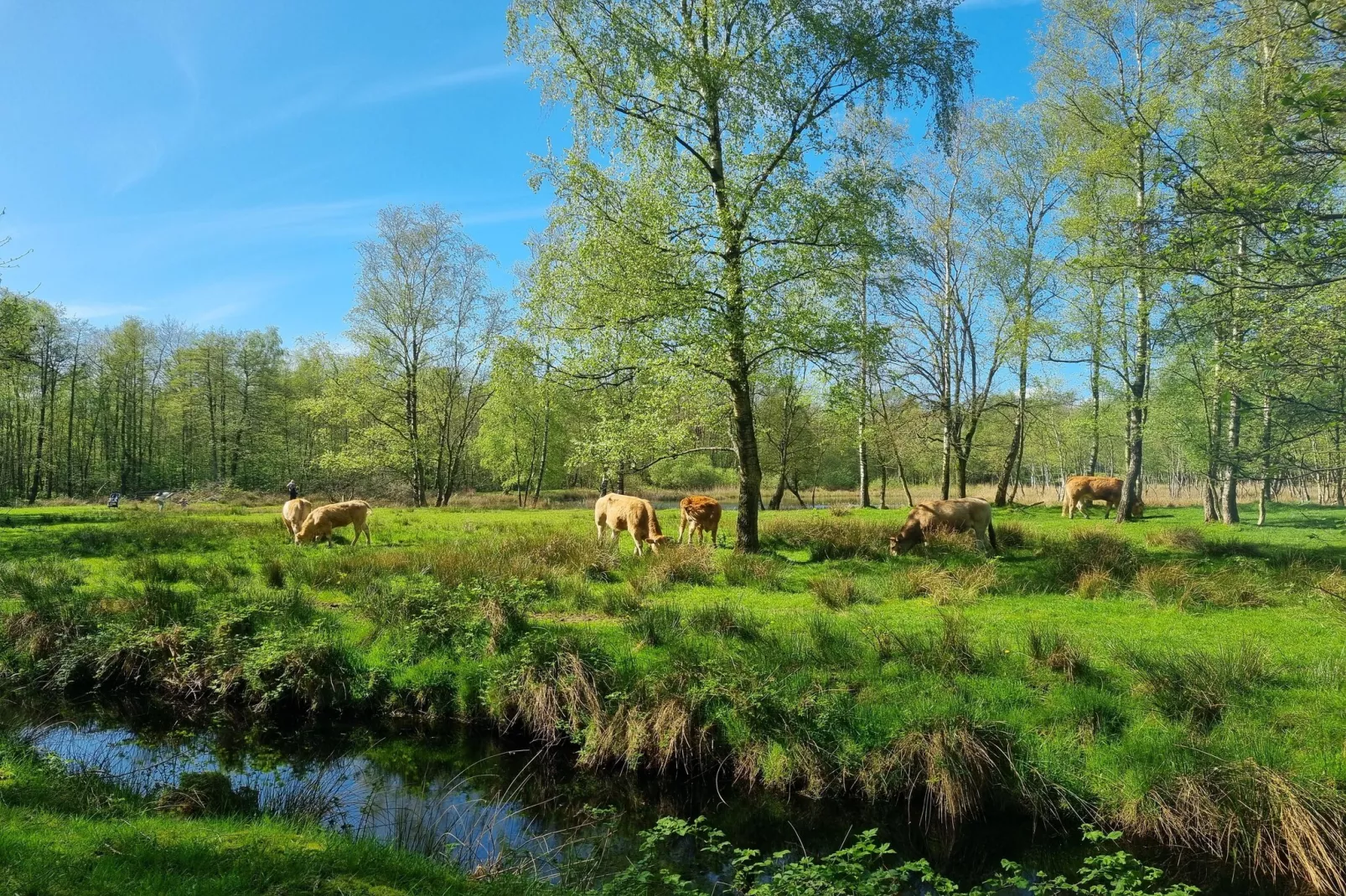 Watervilla Fjirtjin - Zones été à 5 km