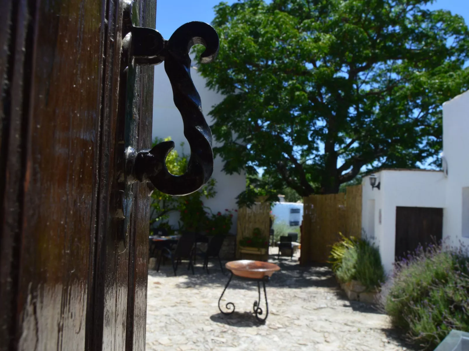 Finca "Casa Vieja" mit Bergblick - Draußen
