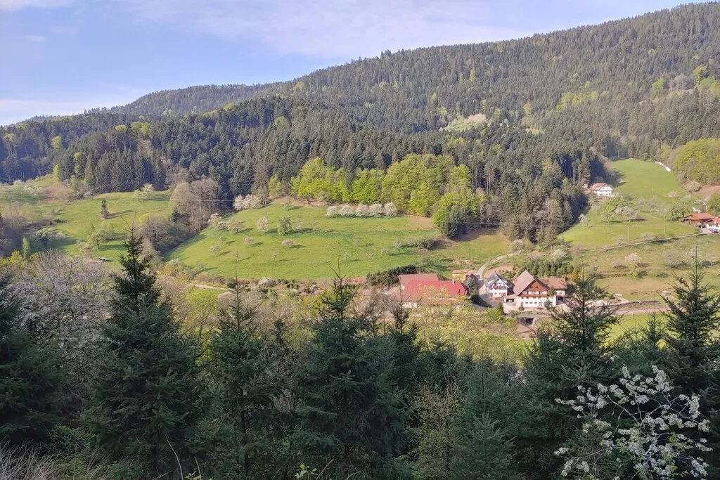 481674 - Nicht zugeordnet