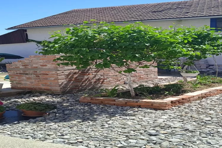 Holiday Home Kim - Three Bedroom Holiday Home with Swimming Pool - Garten Sommer