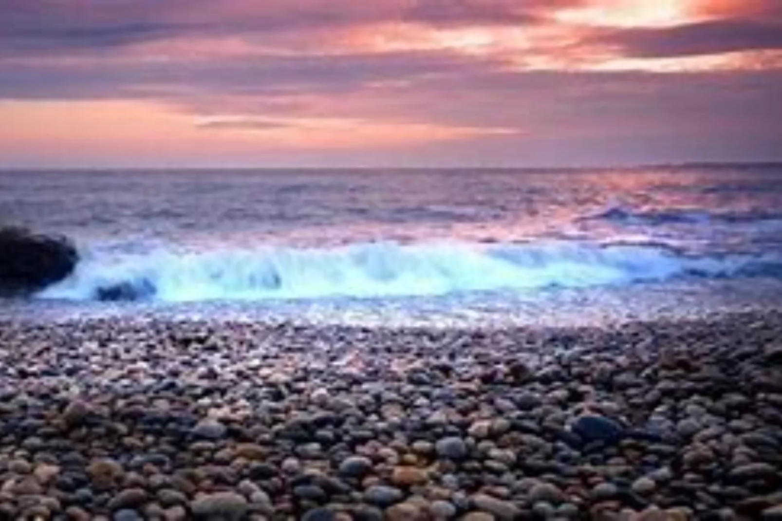 Villa Samba -  Luxury One-Bedroom Apartment with Balcony and Sea View - Ambiance