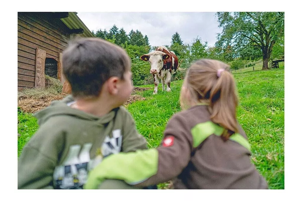 481674 - Nicht zugeordnet