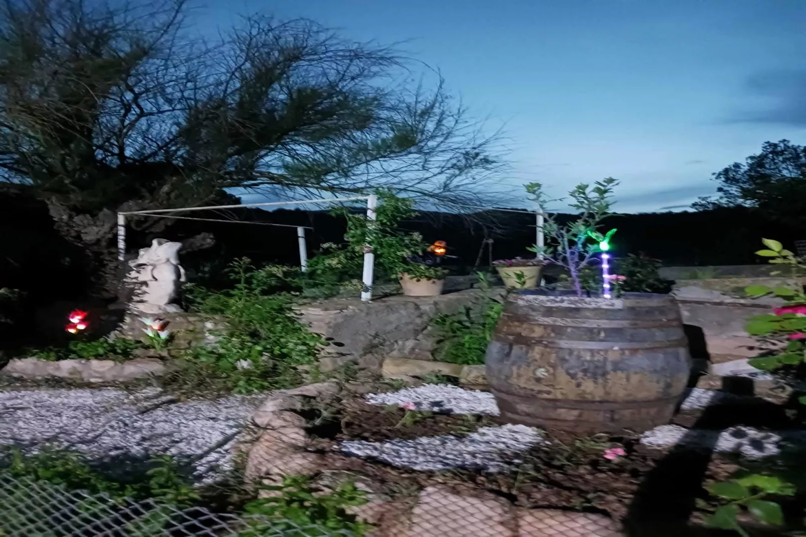Mas Set Rengs - Gardens in summer
