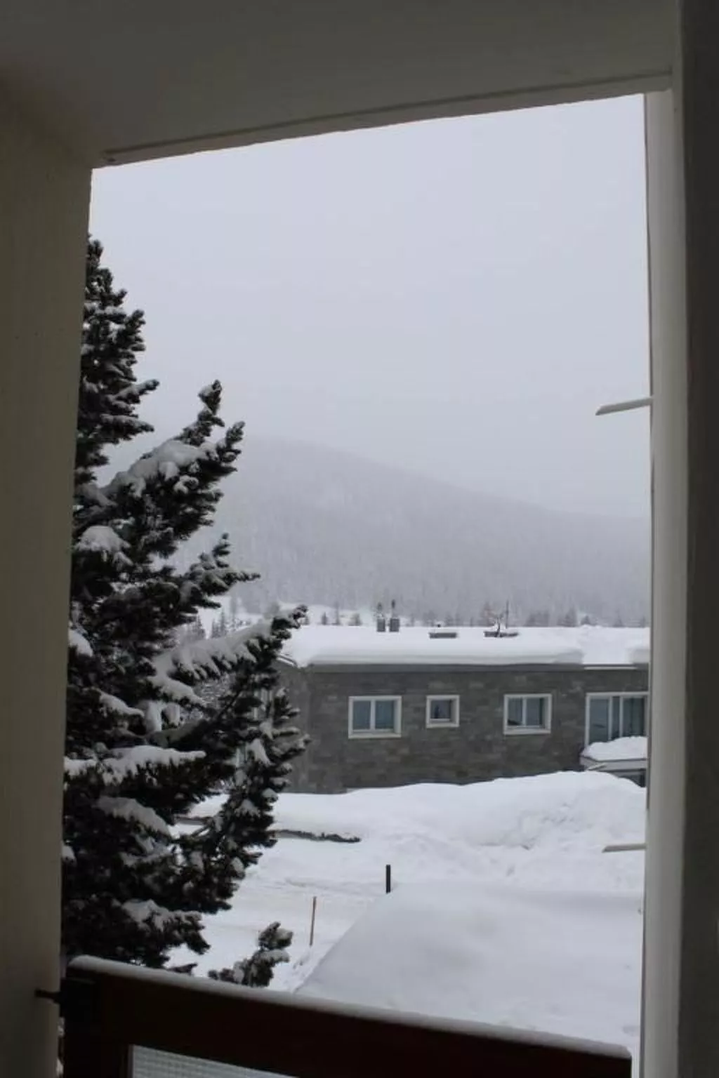 Chesa Piz Alv - Outside