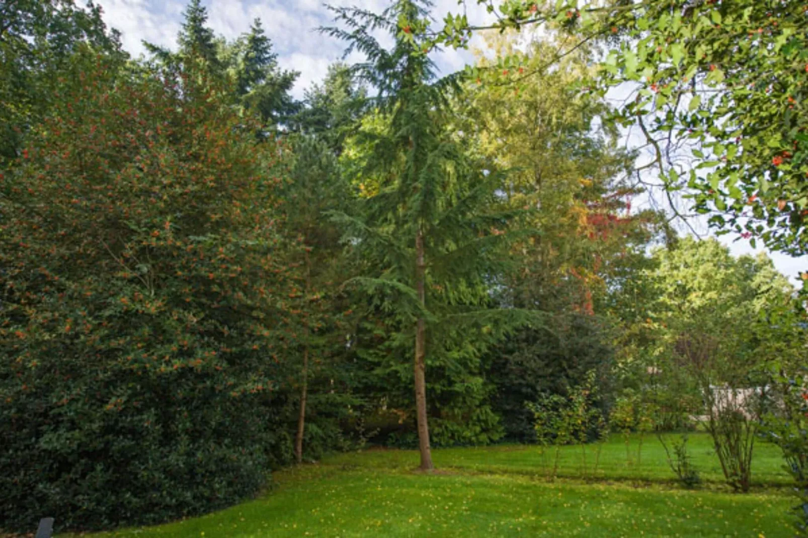 Vakantiepark Hellendoorn 2-Gardens summer