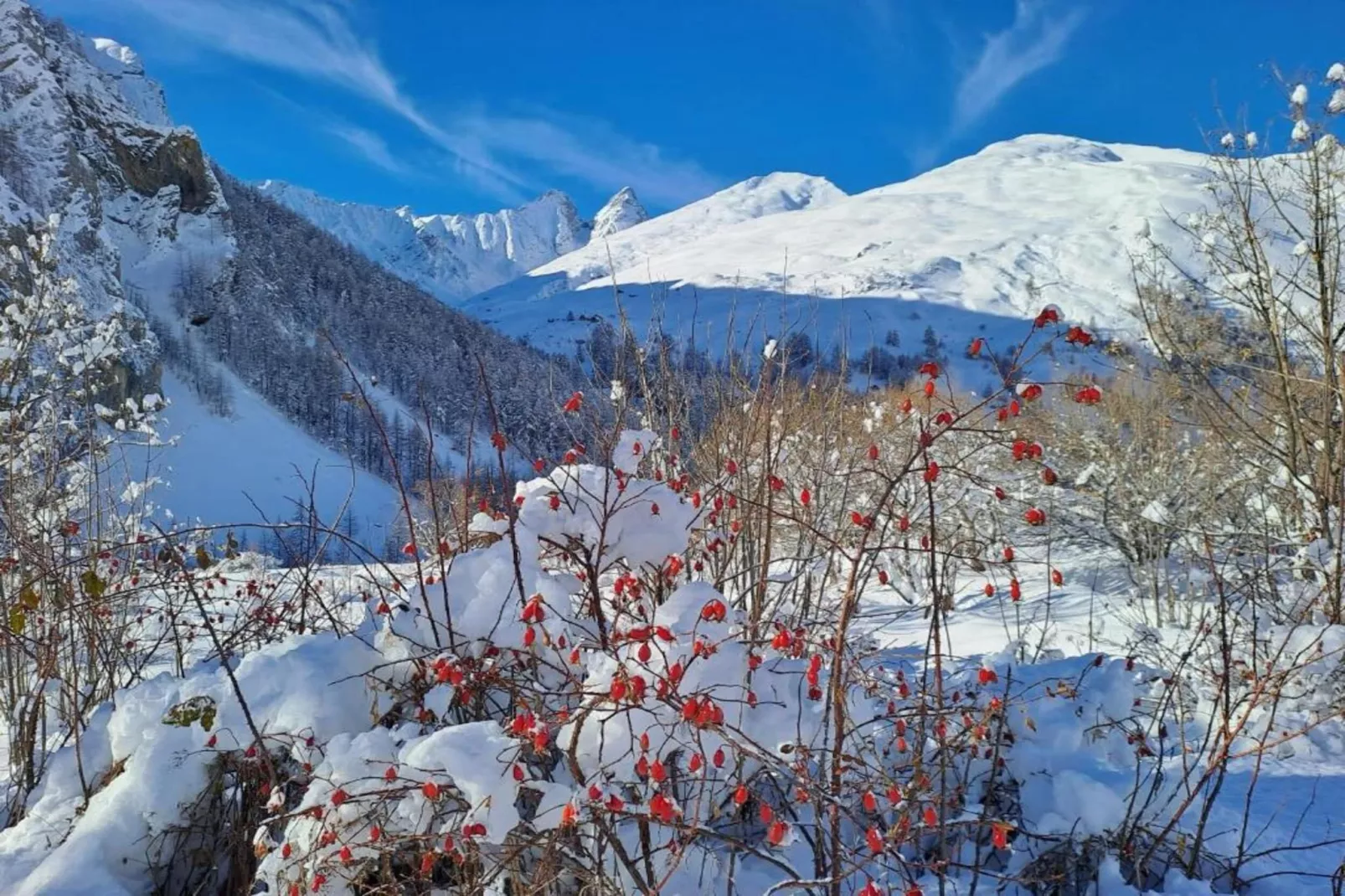 Residence Le Hameau de Valloire 3 - Area within 20km in winter