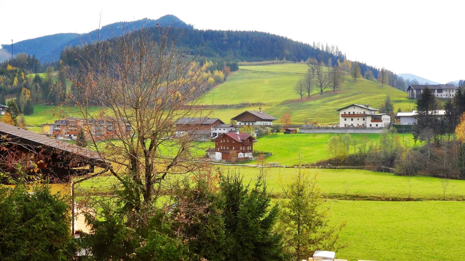 Werfenblick und Bergblick-View summer