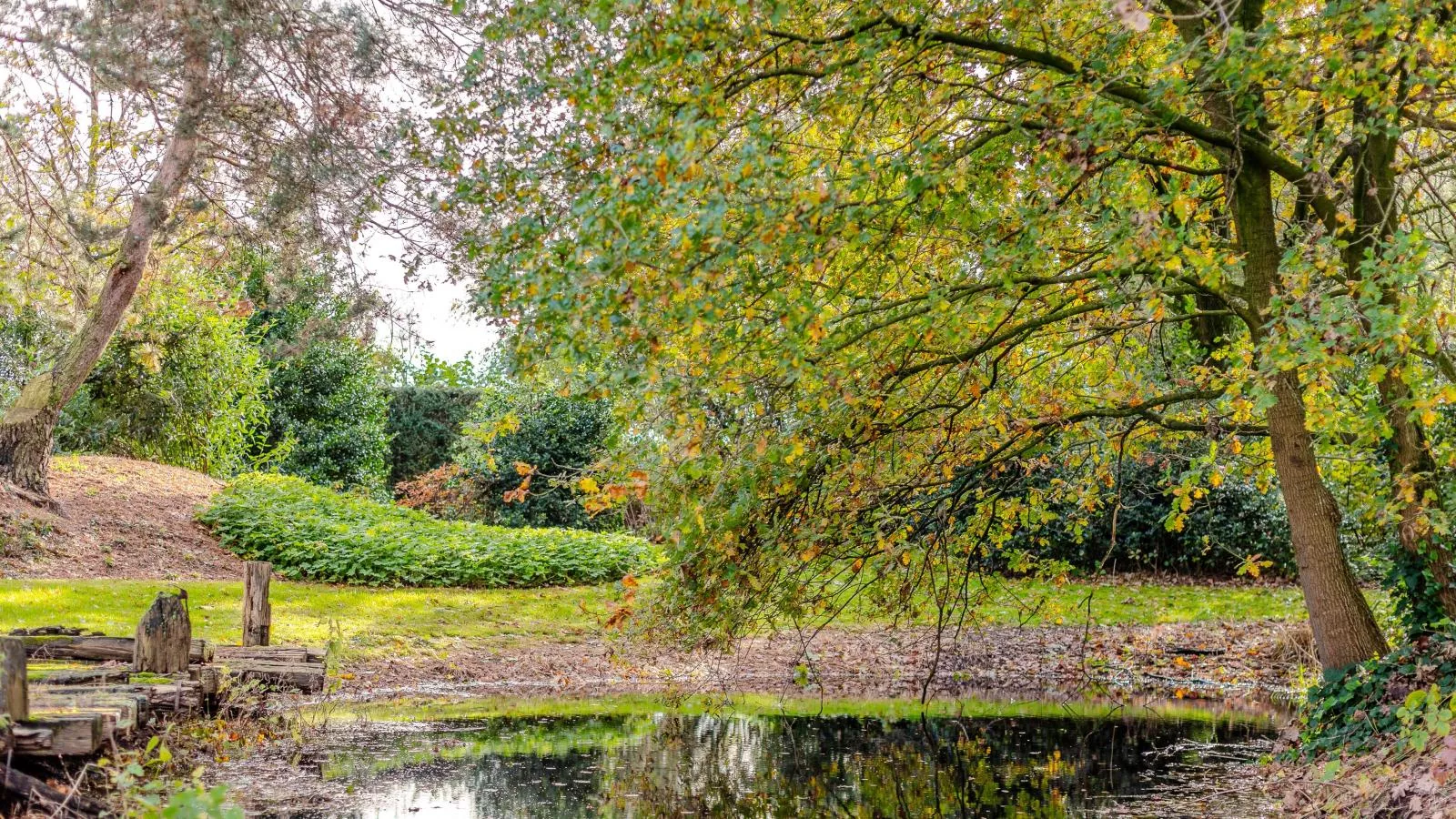 Alverwege-Gardens summer