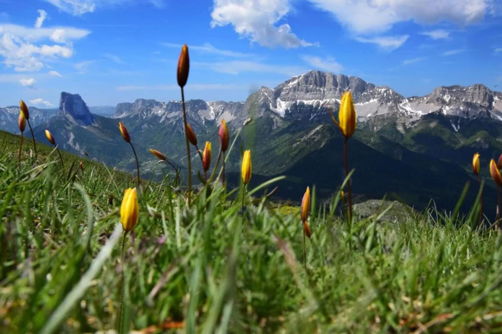Les Gentianes 7 - Gebiete Sommer 20 km