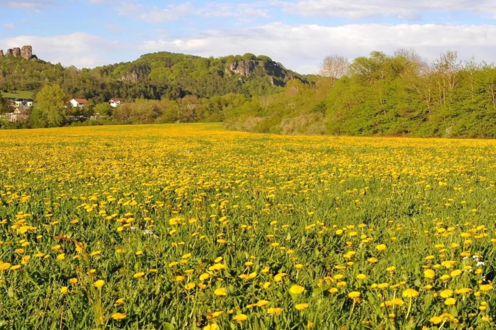 Eifelpark 9 - Zones été à 20 km