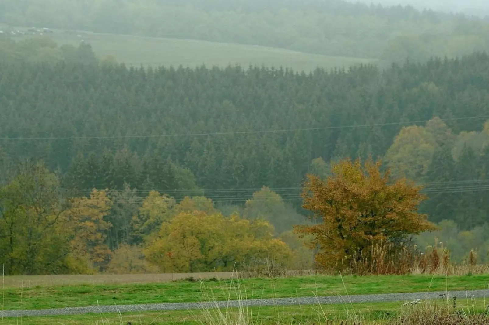 Eifelpark 9 - Zones été à 20 km