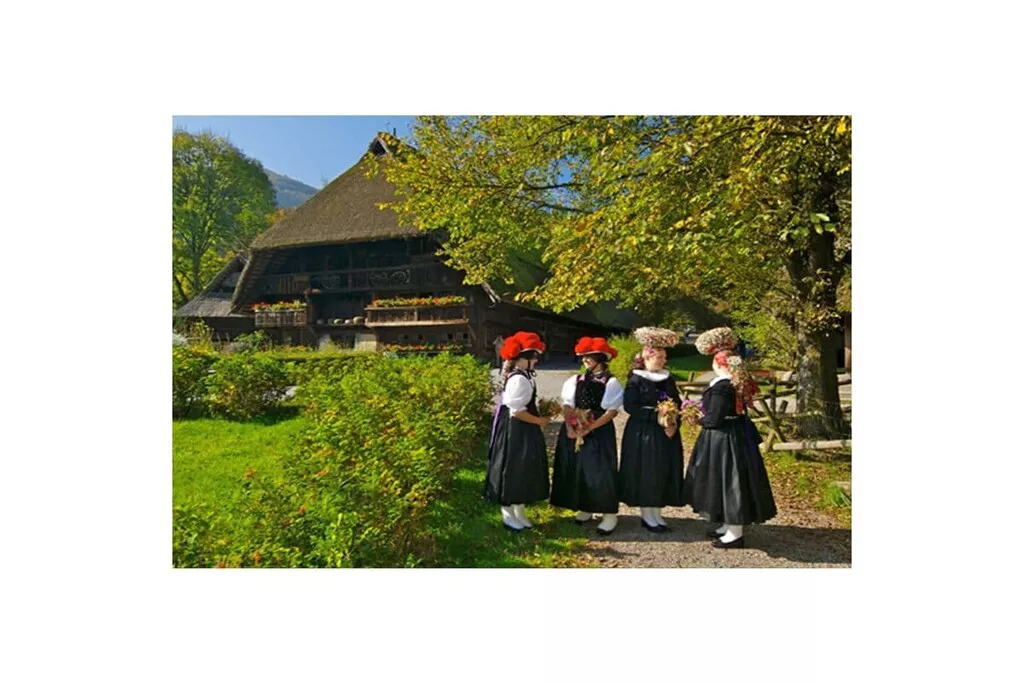 481674 - Nicht zugeordnet