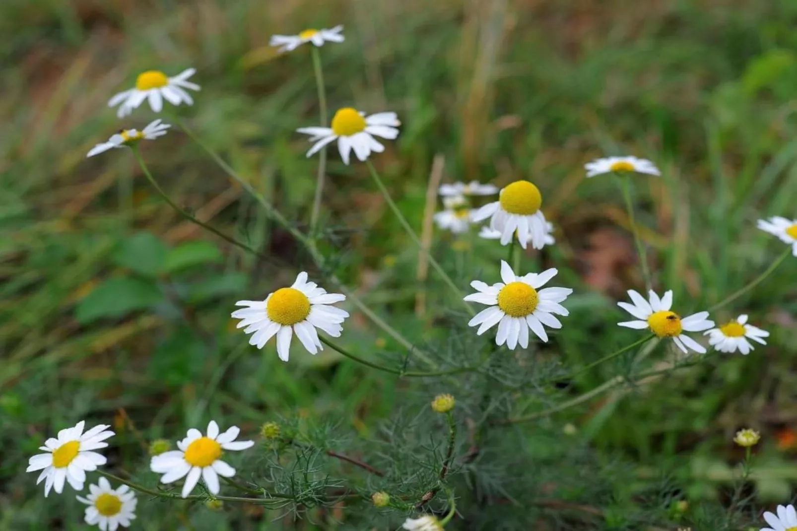 Eifelpark 9 - Ambiance