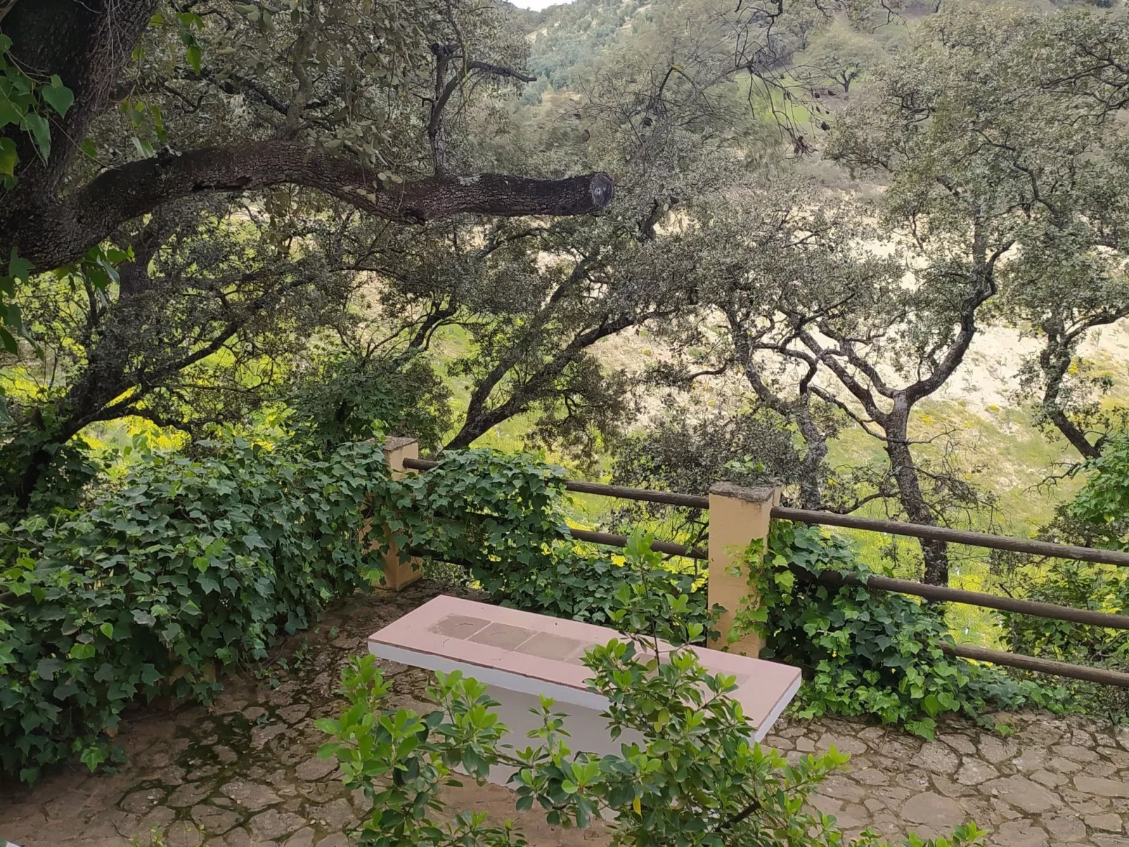 Finca "Casa Vieja" mit Bergblick - Draußen