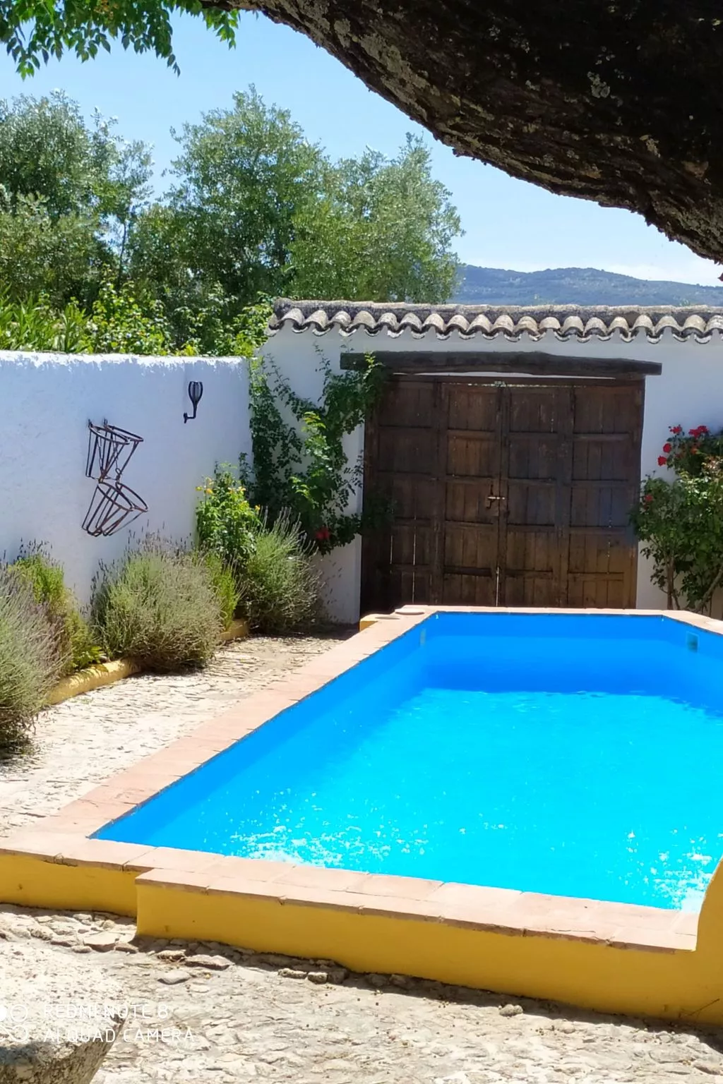 Finca "Molino" mit privatem Pool - Draußen