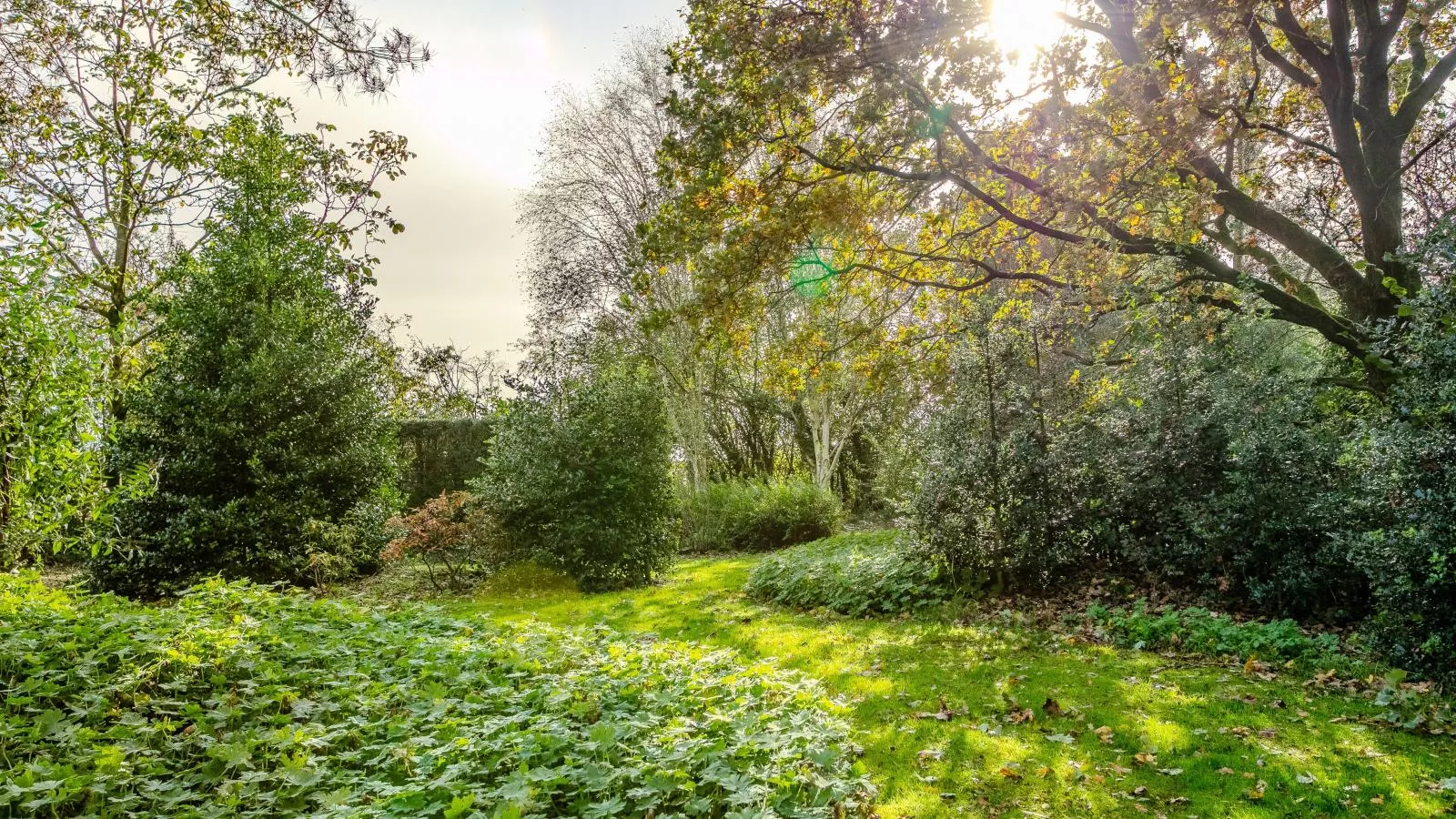 Alverwege 2-Jardin d'été