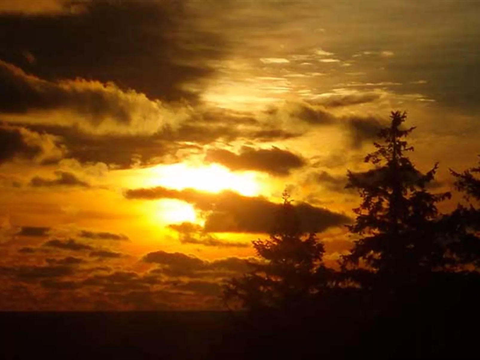 "Folki" - 300m from the sea