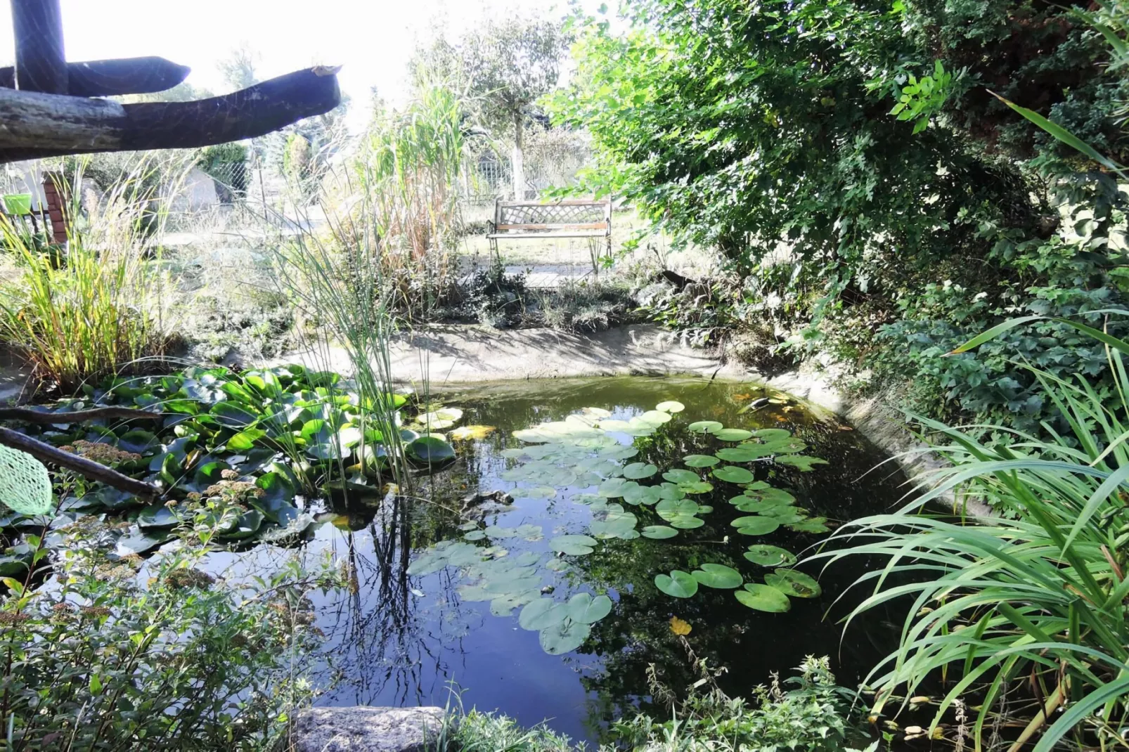 Holiday home Karnocicie-Gardens summer