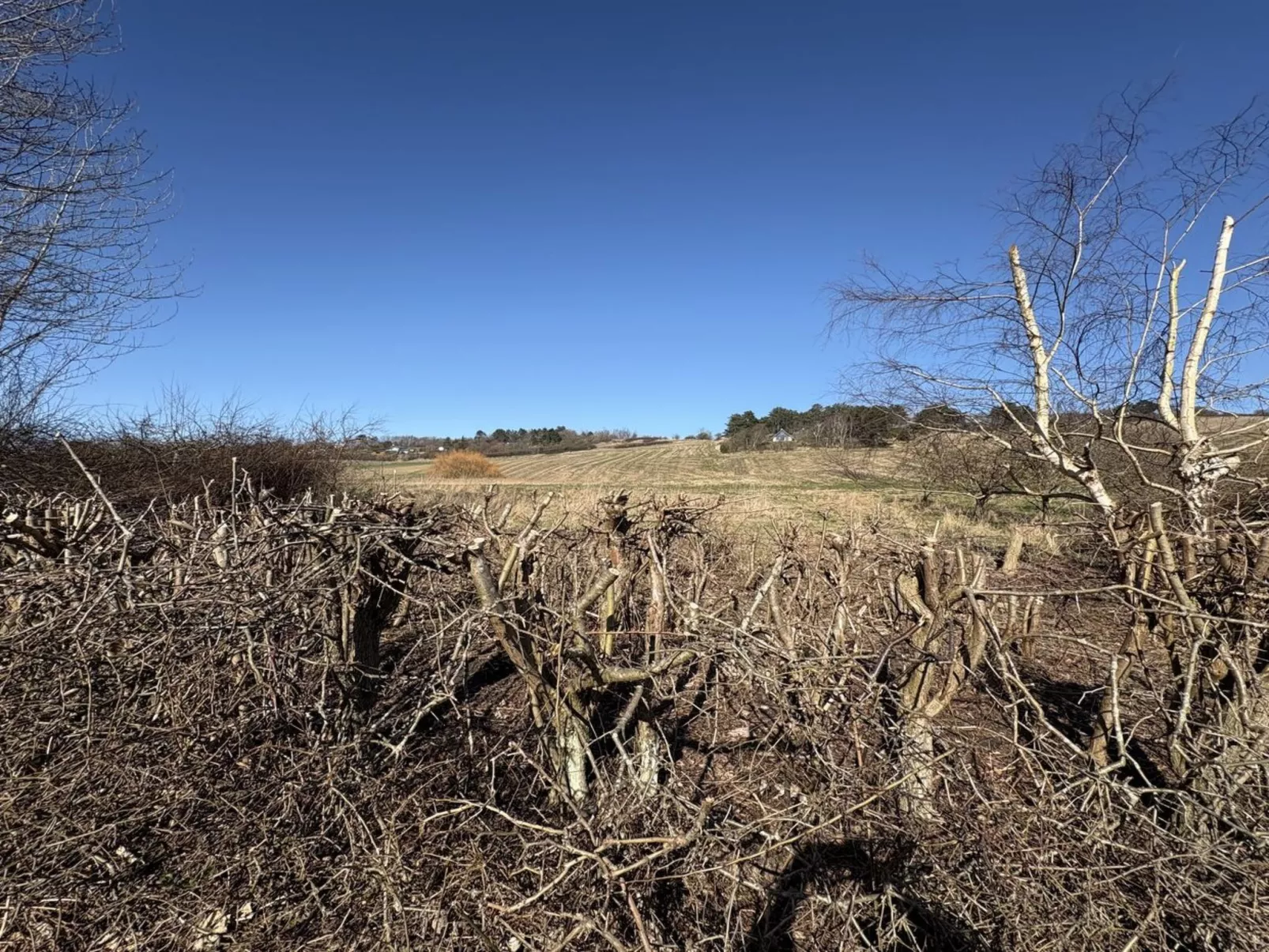 "Euphemia" - 200m from the sea - Dehors