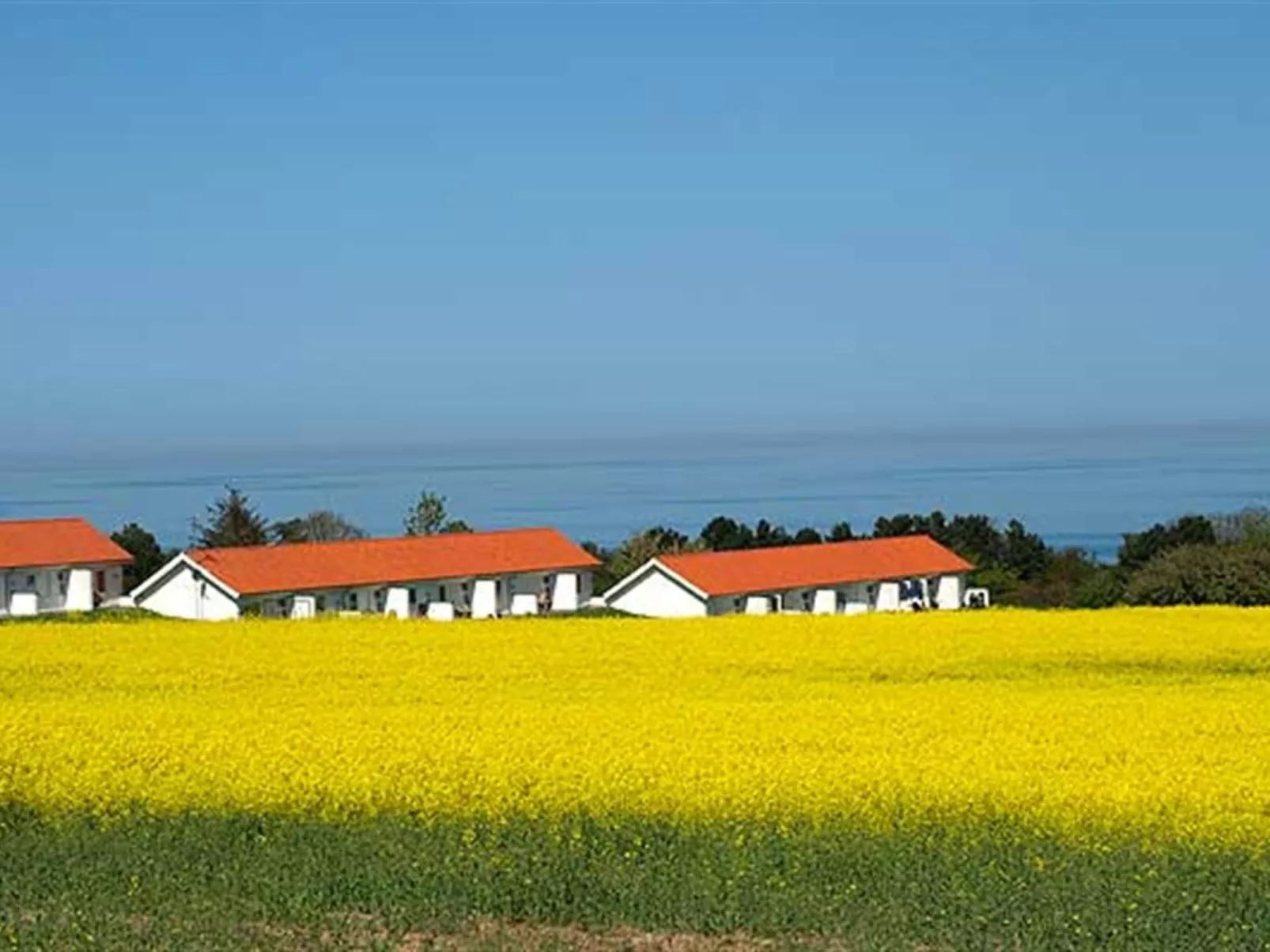 "Folki" - 300m from the sea - Outside