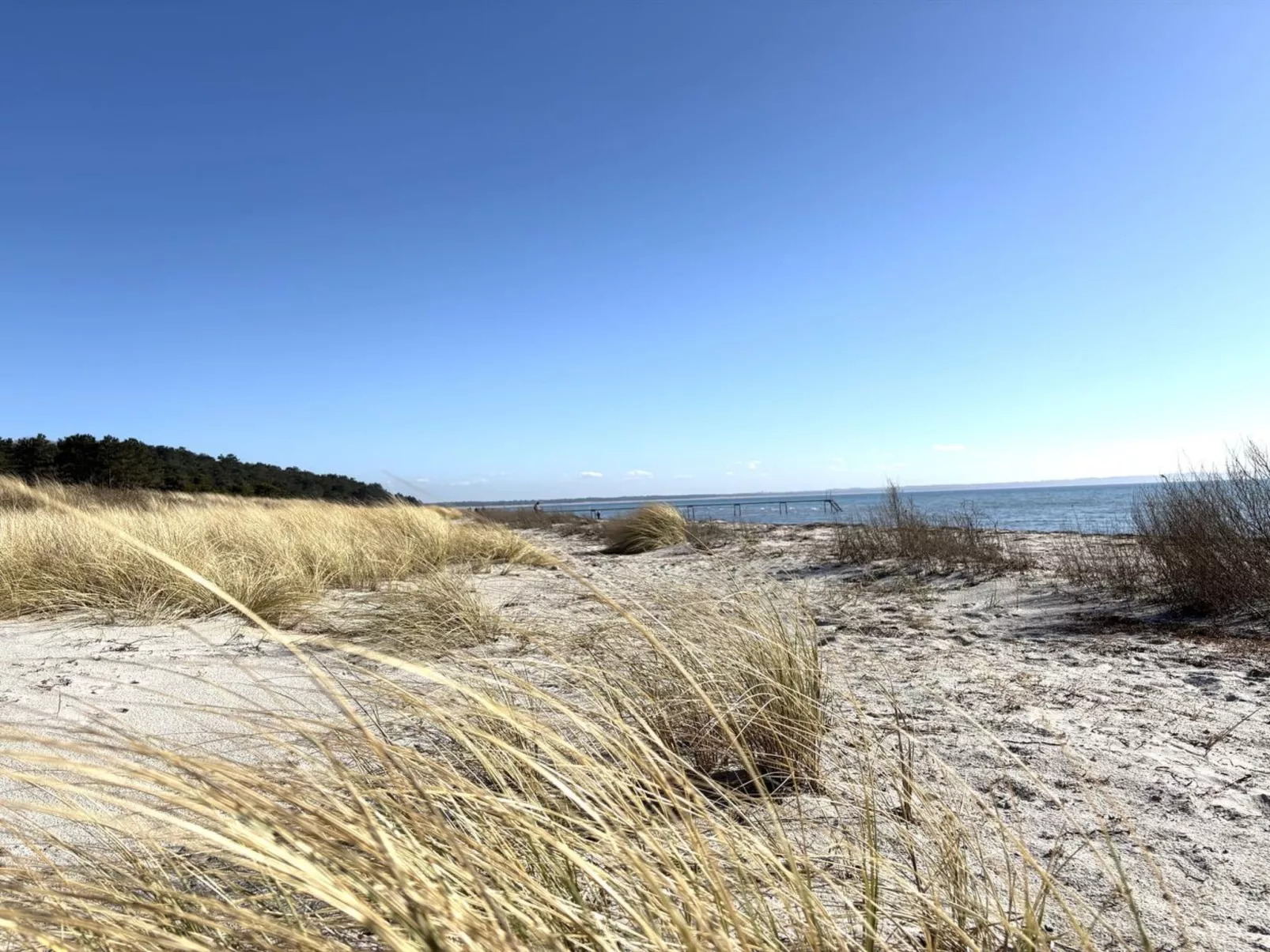 "Euphemia" - 200m from the sea - Dehors