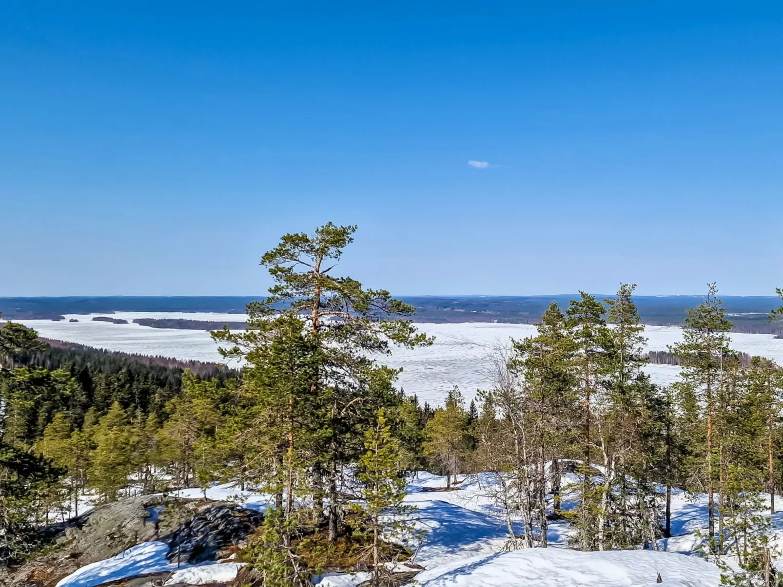 Villa savonia - Dedans