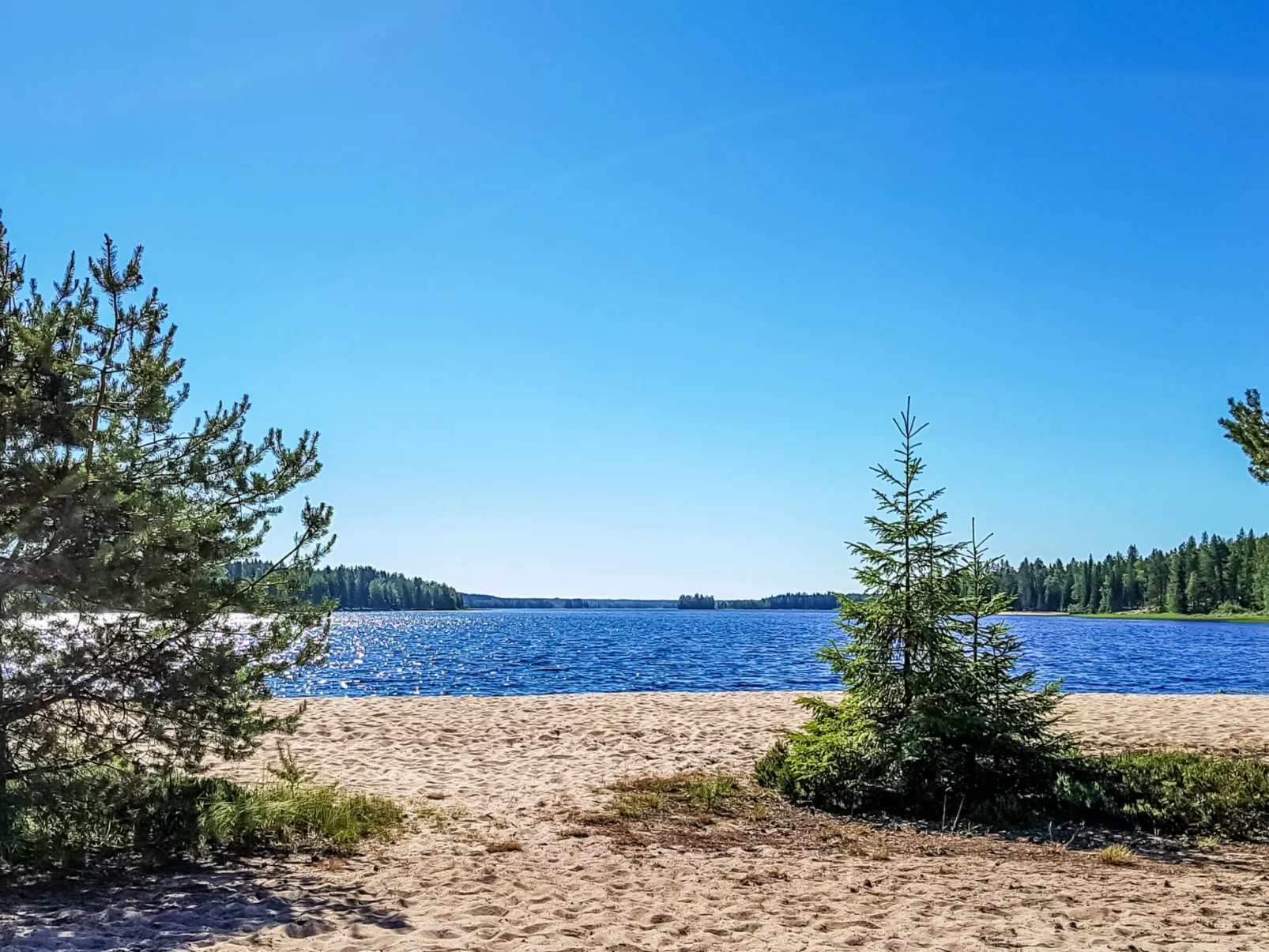 Villa savonia - Dedans