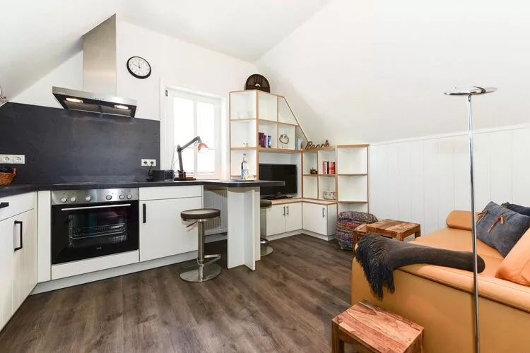 Apartments, Wyk auf Föhr-2-Raum-App. im EG, 40 qm, Typ Nr. 1 Andersen-Kitchen