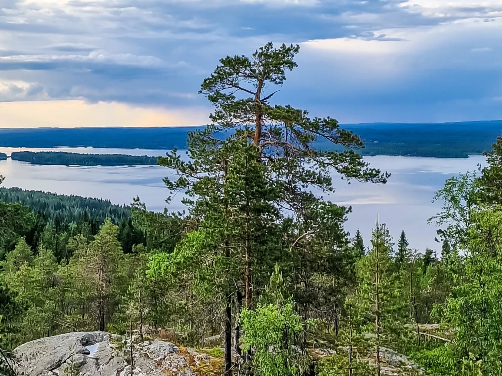 Villa savonia - Dedans