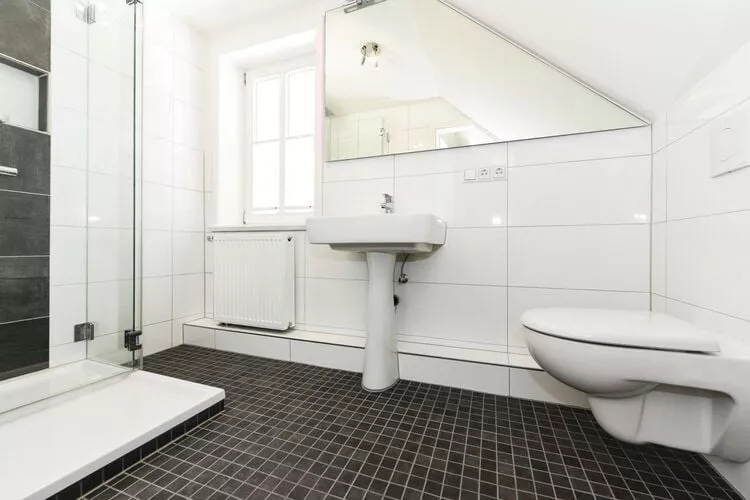 Apartments, Wyk auf Föhr-2-Raum-App. im EG, 40 qm, Typ Nr. 1 Andersen-Bathroom