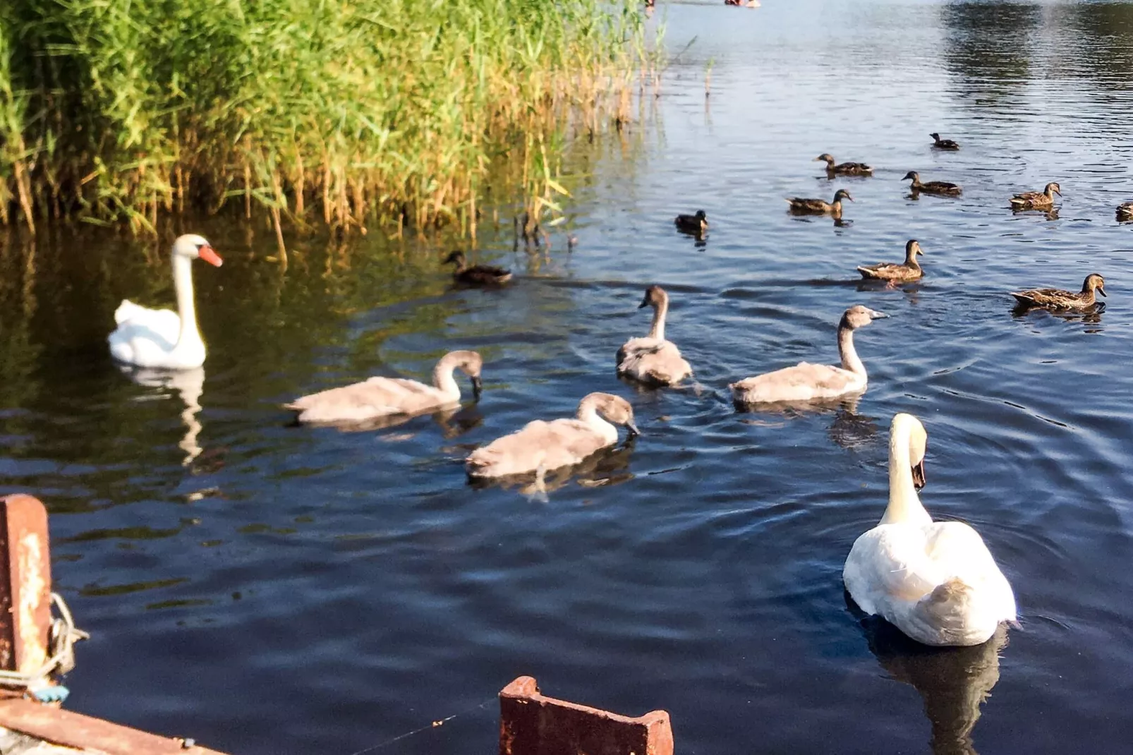 4 etoiles maison de vacances a SÖLVESBORG - Non tagué