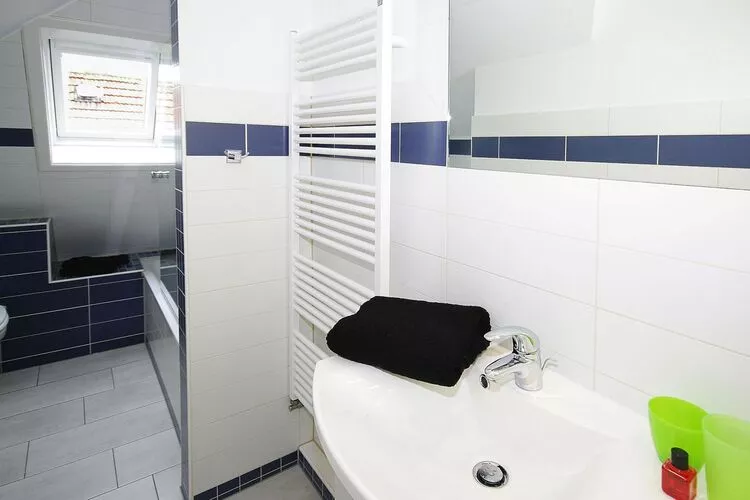 Apartments, Wyk auf Föhr-2-Raum-App. im EG, 40 qm, Typ Nr. 1 Andersen-Bathroom