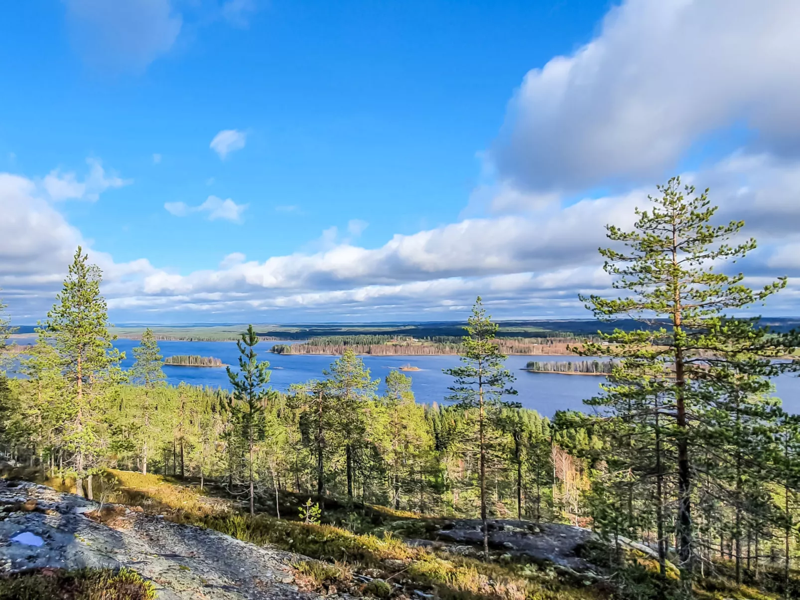 Villa savonia - Dedans