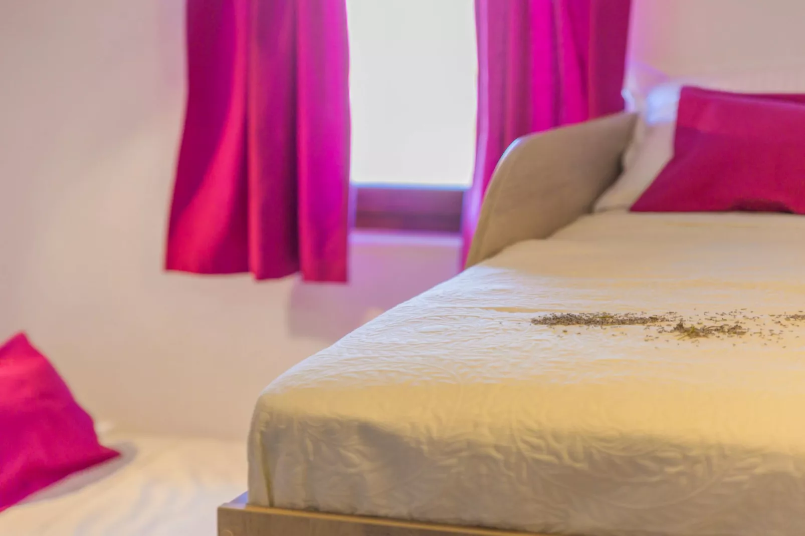 Rustic Villa Fragola with heated pool - Chambre