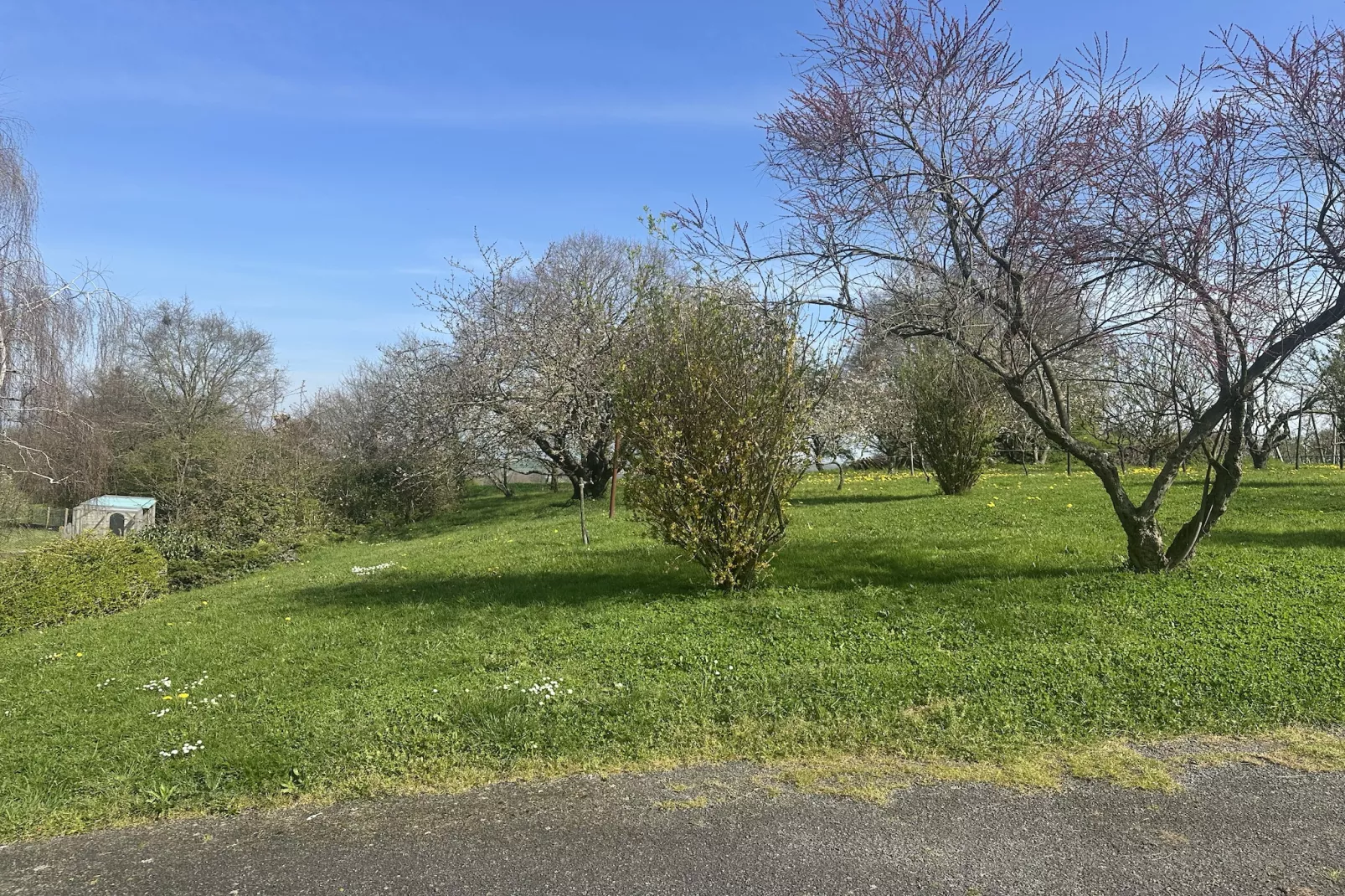 Val du Loire - Garten Sommer