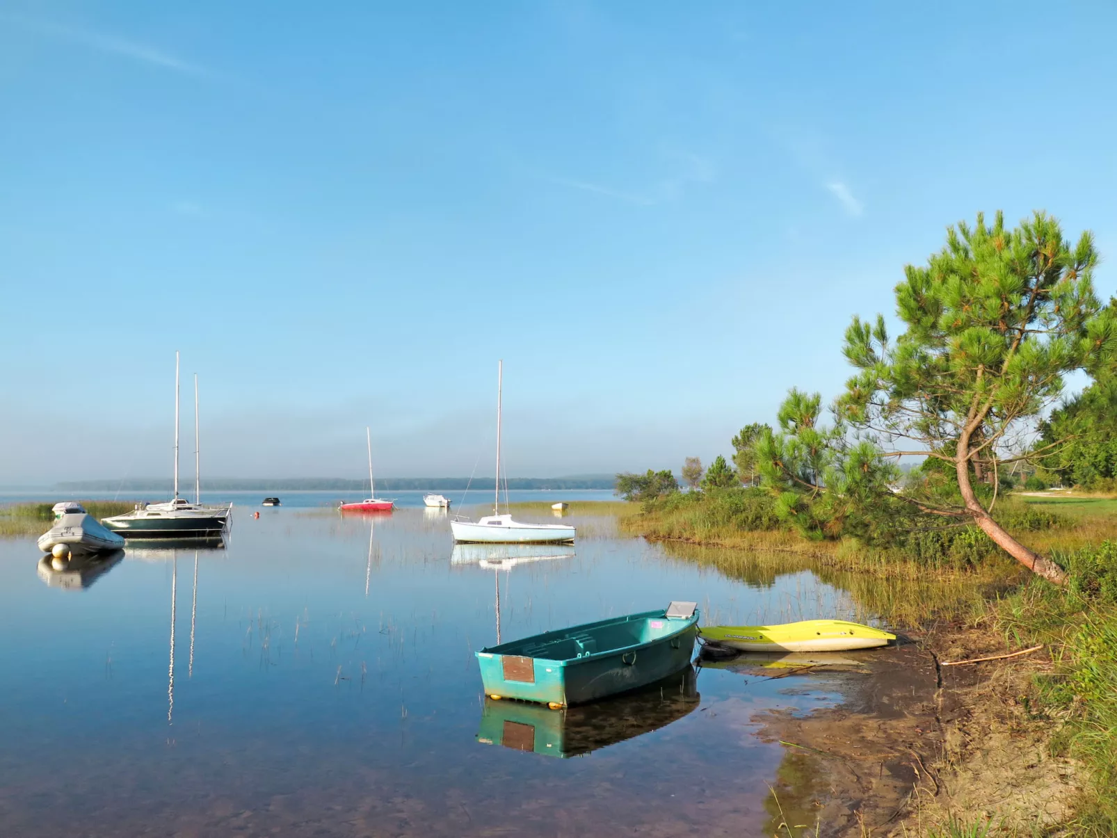 Les Pins - Area