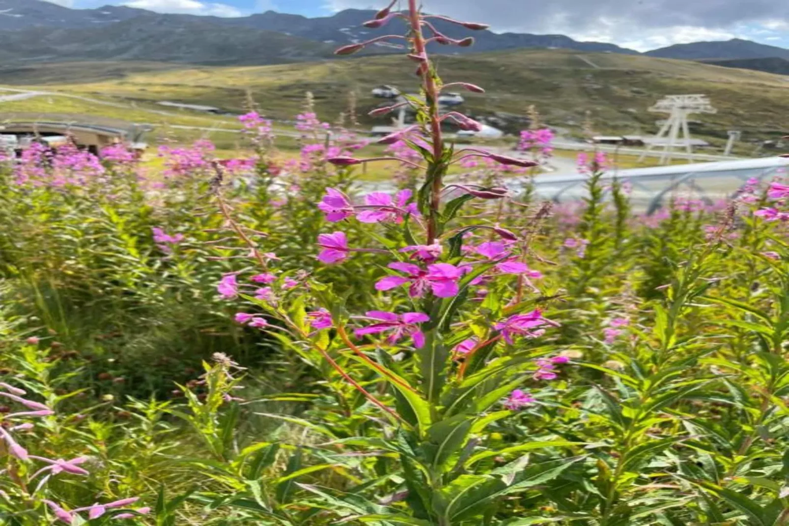Chalet Altitude Val Thorens 2 - Areas within 20km in summer