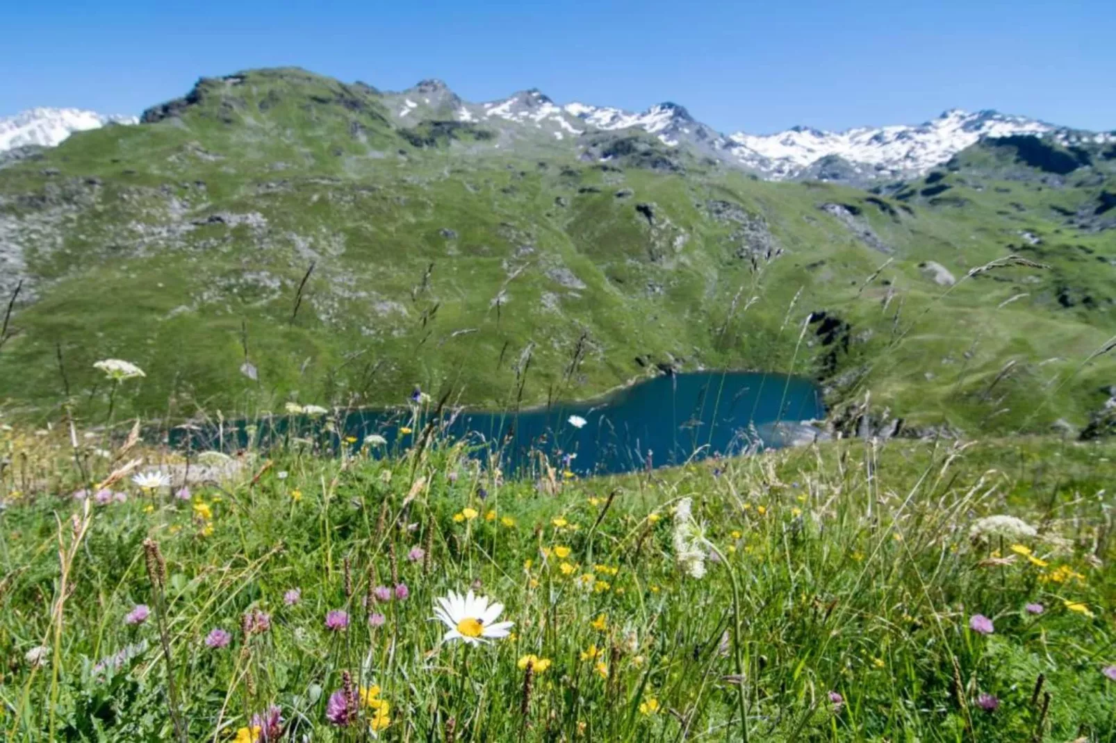 Chalet Altitude Val 2400 5 - Gebiete Sommer 20 km