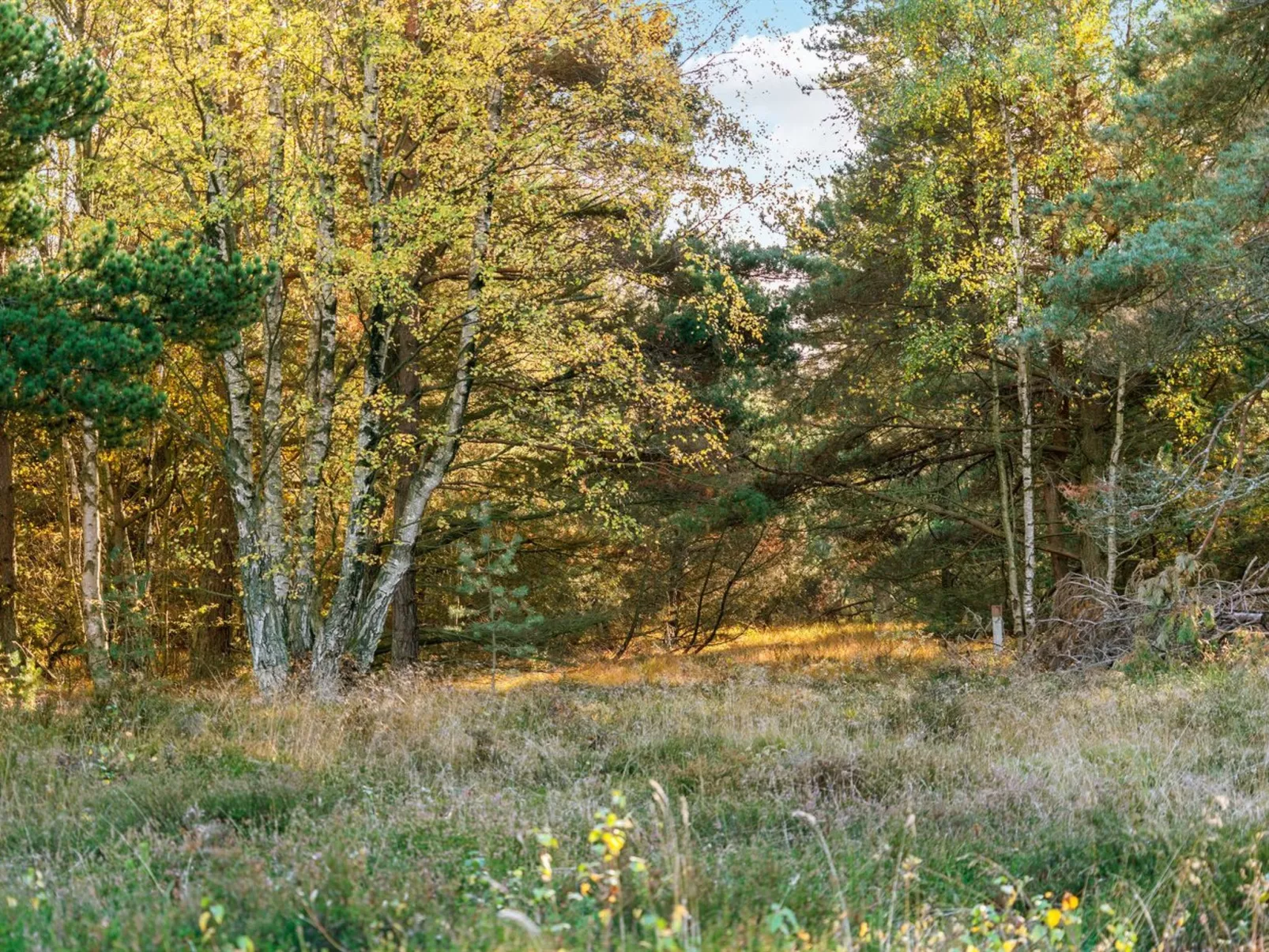 "Helmtrud" - 500m from the sea