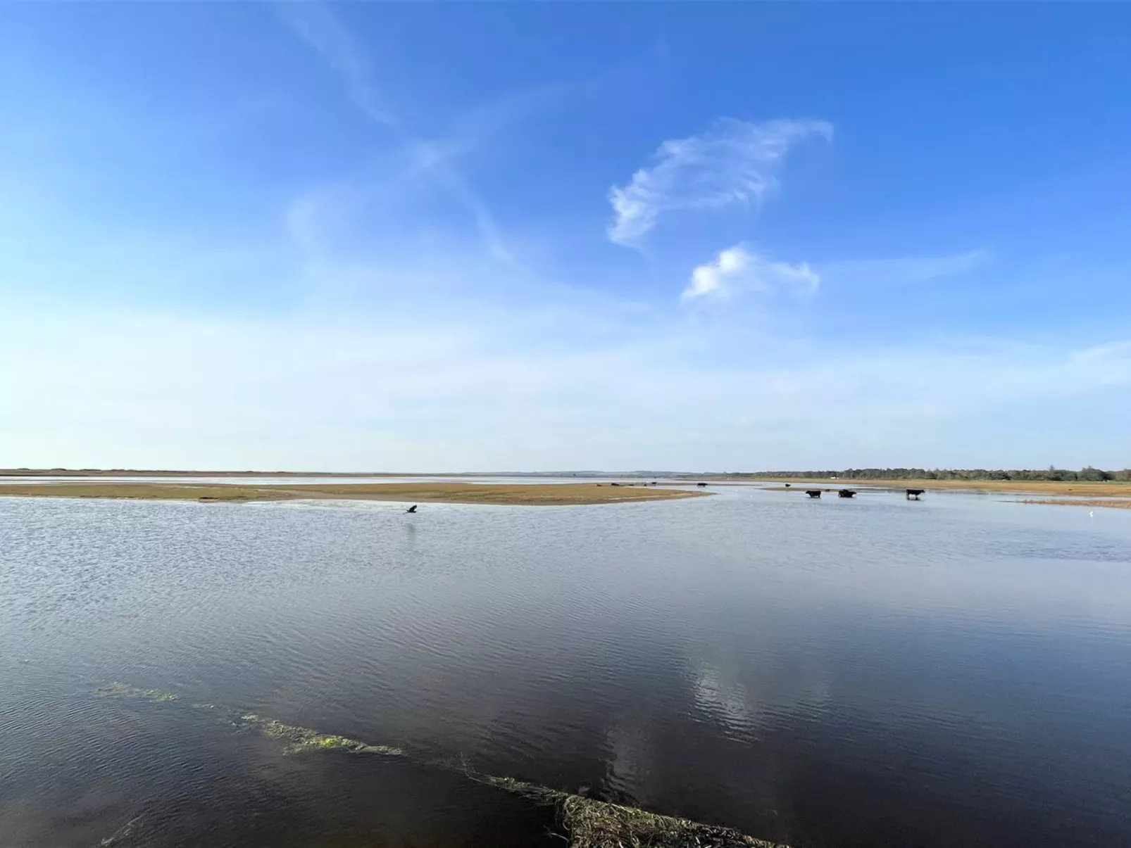 "Antonina" - 775m from the sea - Draußen