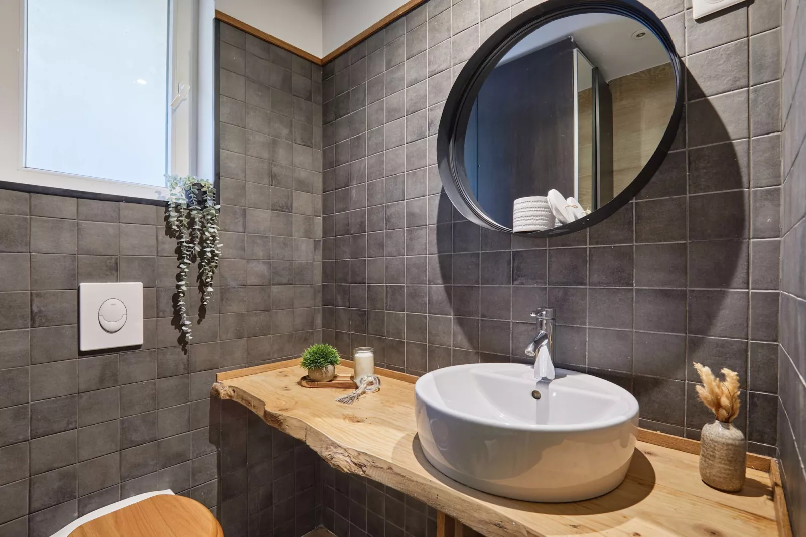 SEDAINE NEW - Nicht zugeordnet