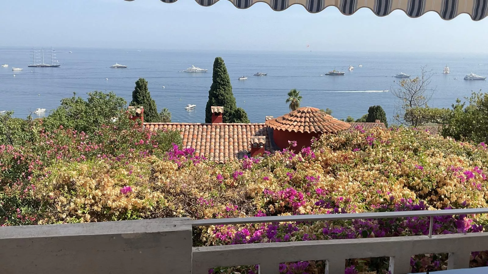 Paulette - Vue d'été